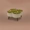Orla Kiely Daisy Velvet Large Footstool