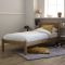 Casa Thistle Bed Frame, Single, Pine