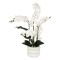 Atmosphera Mick Artificial Orchid Plant