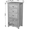 Casa Toulouse 5 Drawer Wellington Chest