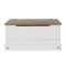 Casa Connor Storage Trunk, White